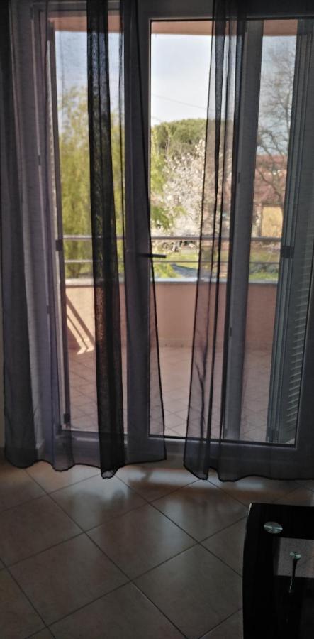 Apartman Valbandon Fažana Zewnętrze zdjęcie