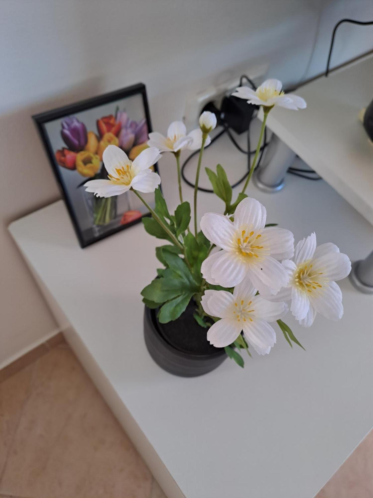 Apartman Valbandon Fažana Zewnętrze zdjęcie